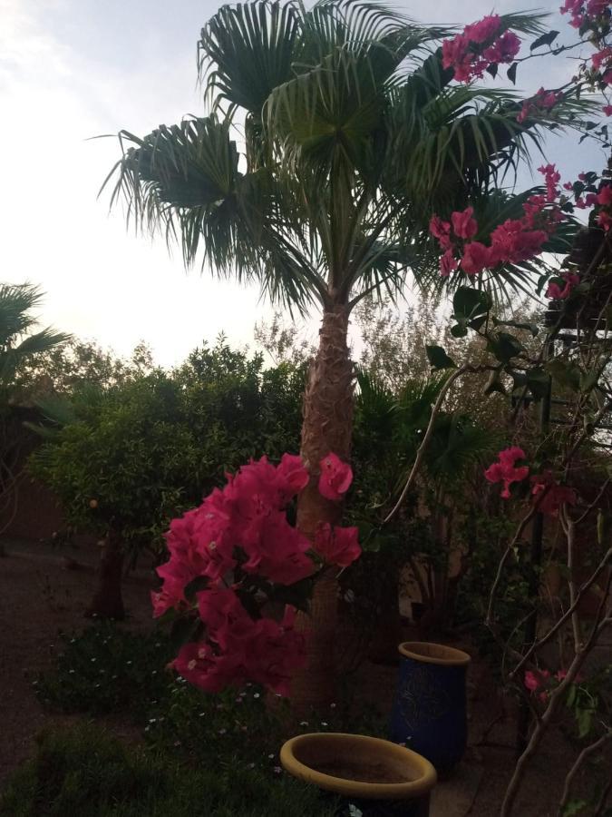 Auberge Bassou Nkob Luaran gambar